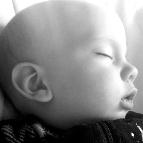 Meet your Posher, Karlie - Picture 1 of 1